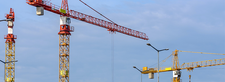 zoty��ŷ��(�й����޹�˾)�ٷ���վ